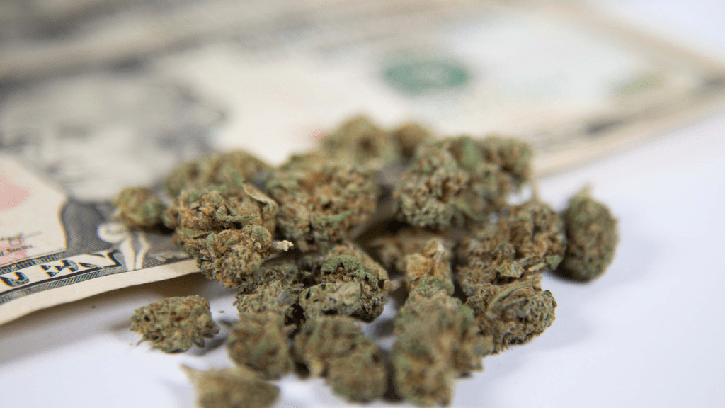 The High Costs of Cannabis Logistics: Is It Sustainable?